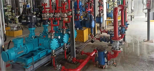 Depamu metering pumps for fluorides chemical application