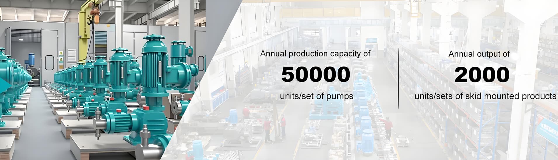 Reciprocating pumps | electric diaphragm pumps | pneumatic diaphragm pump | screw pump | chemical dosing packages