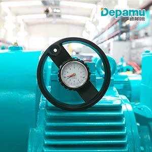 Depamu Food Grade Lobe Pumps for Chocolate/Syrup