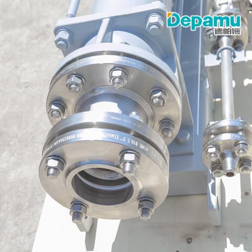 Depamu Progressive Cavity Single Screw Pump for Sewage Sludge / Polymer Chemicals Dosing