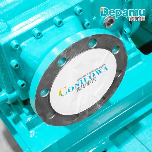 Depamu Food-Grade Rotary Lobe Pumps: Sanitary Engineering for the Demands of Modern Food Processing