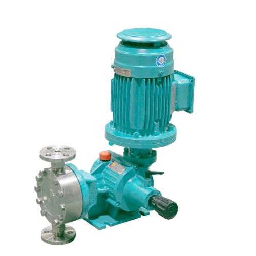Mechanical Diaphragm Metering Pump DPMFWA300-0.4-III