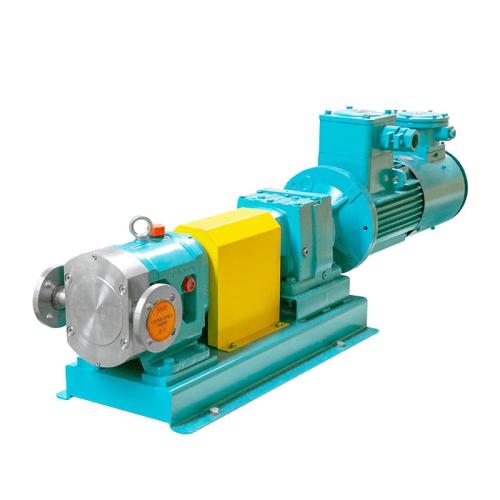 Metal Rotor Pump CLZ25DF0.6-2